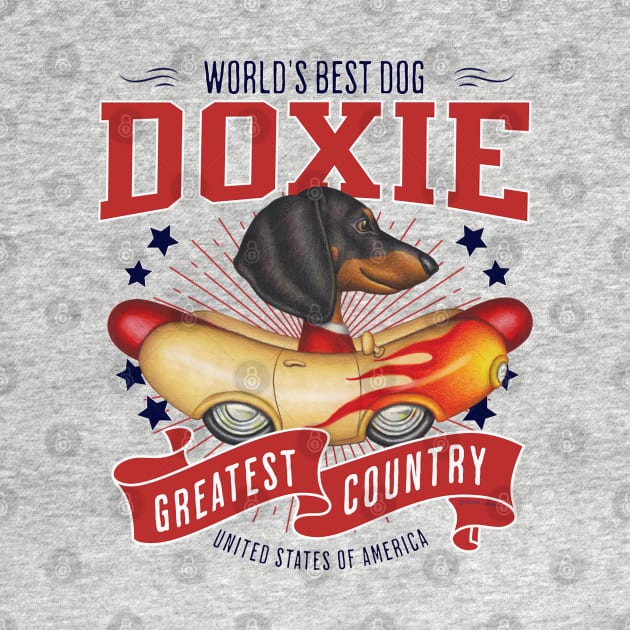 Doxie with red white and blue patriotic Dachshund in Flame Hotdog Car USA by Danny Gordon Art